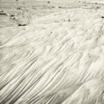 White Fields