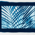 Cyanotypes