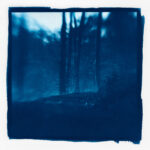 Palatinate Forest in Blue