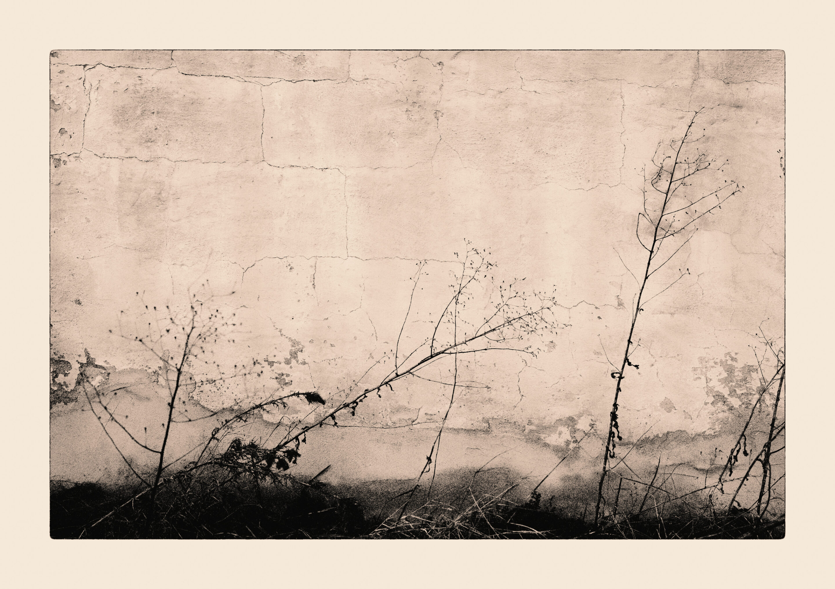 Wall