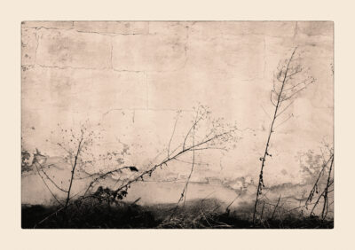 Wall