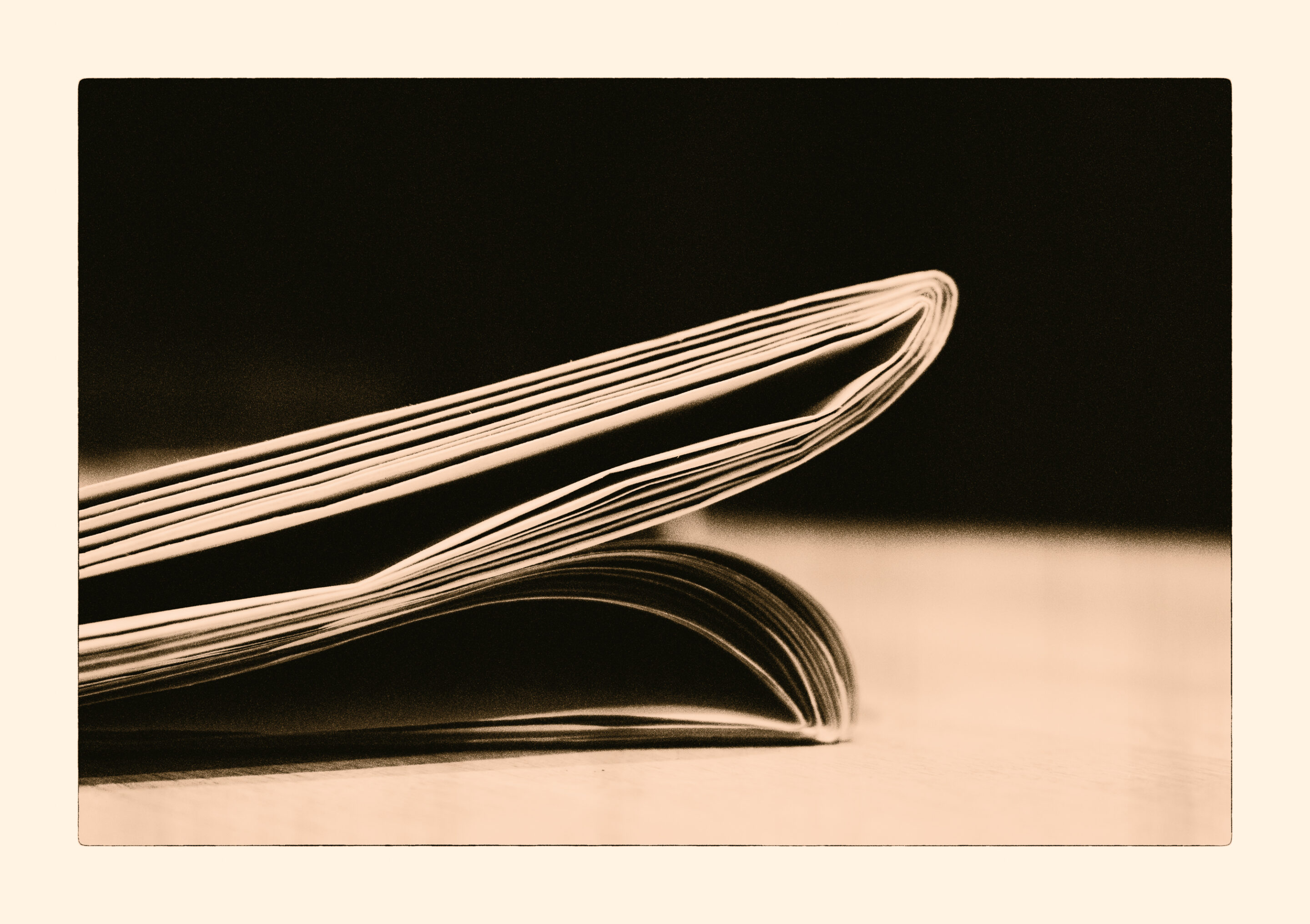 Weekly Lith 06 - Newpaper, unread