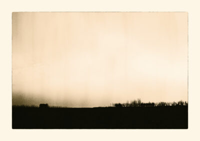While Walking the Fields