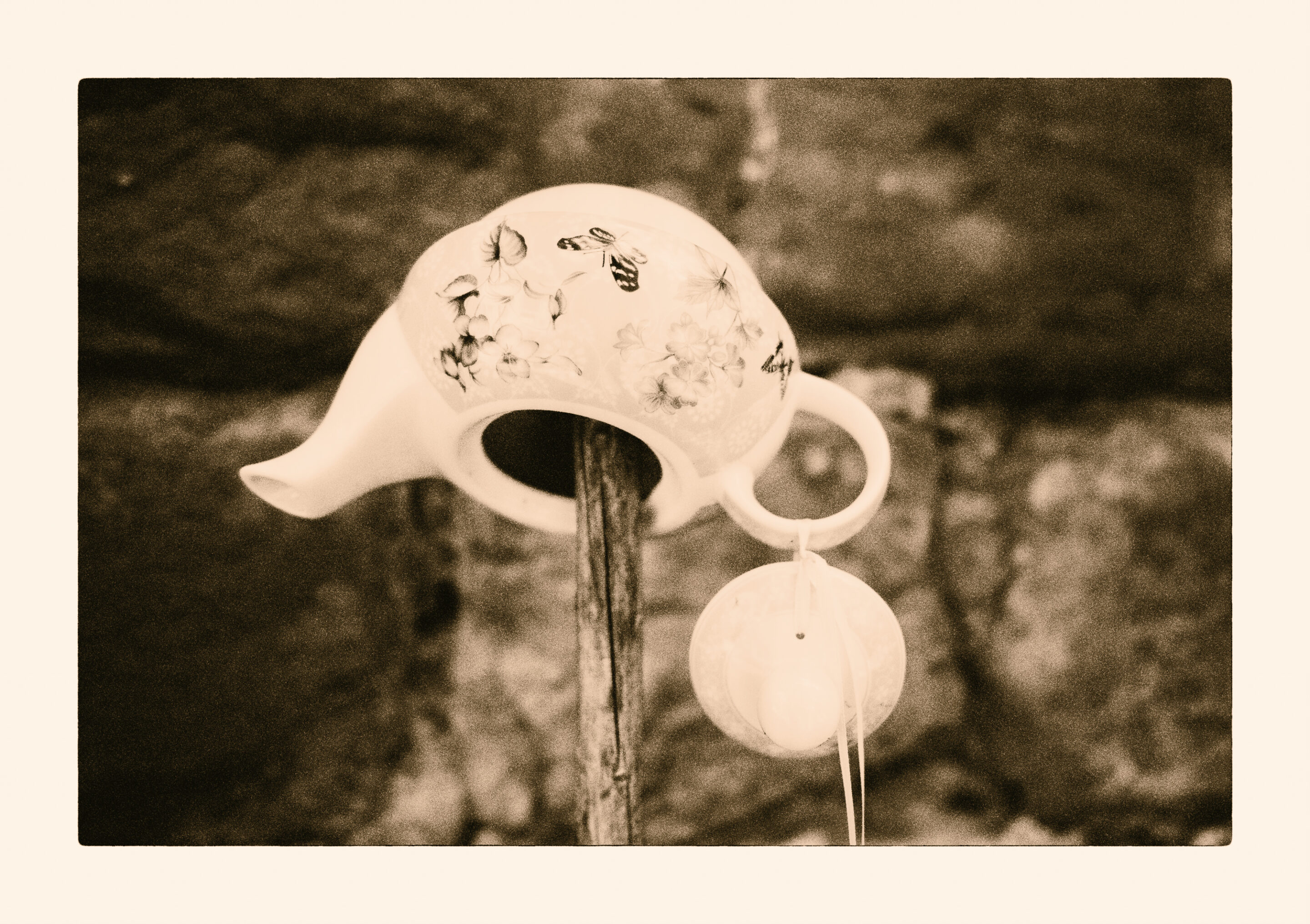 Weekly Lith 17 - Backyard finding